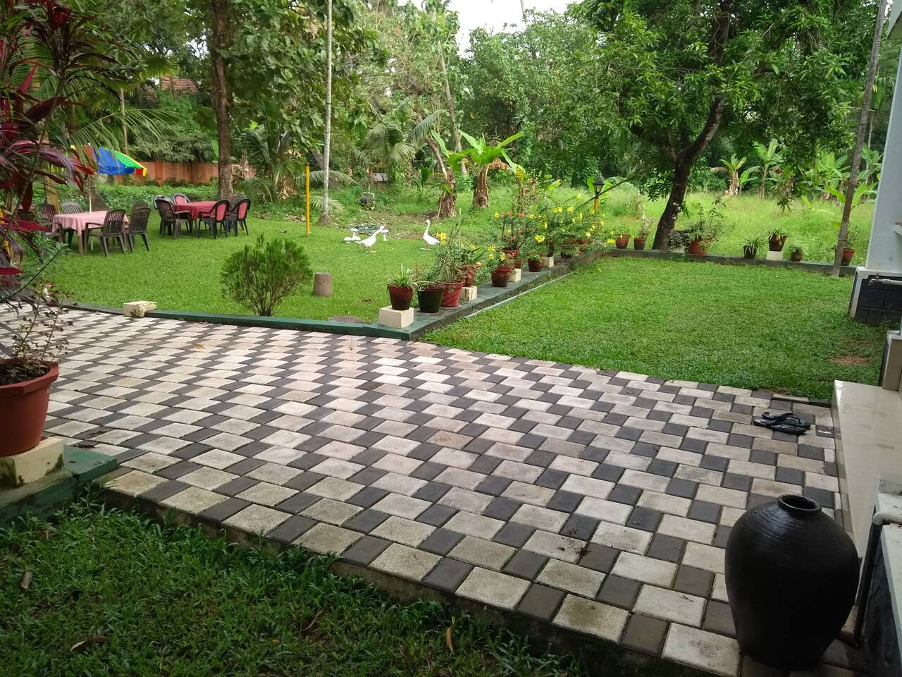 Foto
